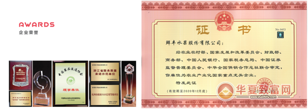 鲜丰水果加盟
